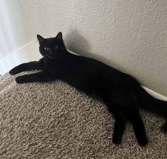 Photo of Bruce