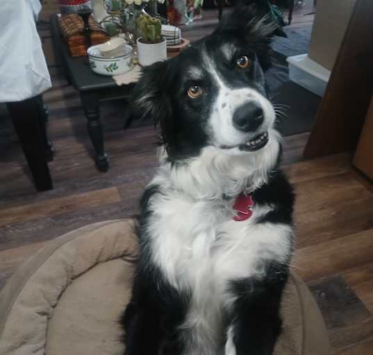 Photo of Gunther