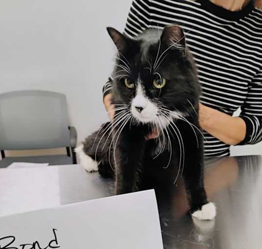 Photo of James Bond