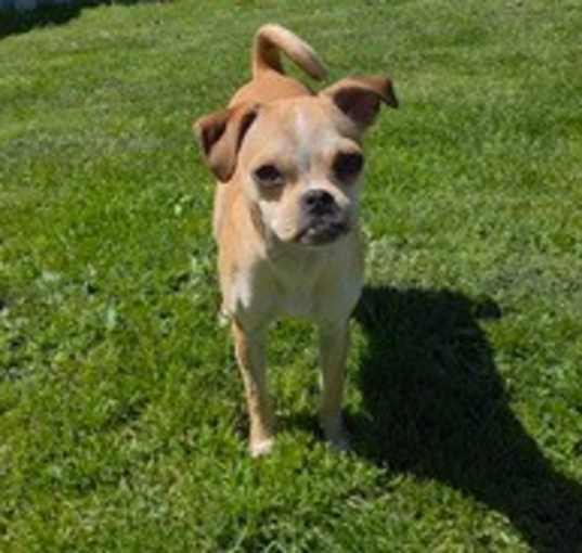 Photo of Tito's Sunshine