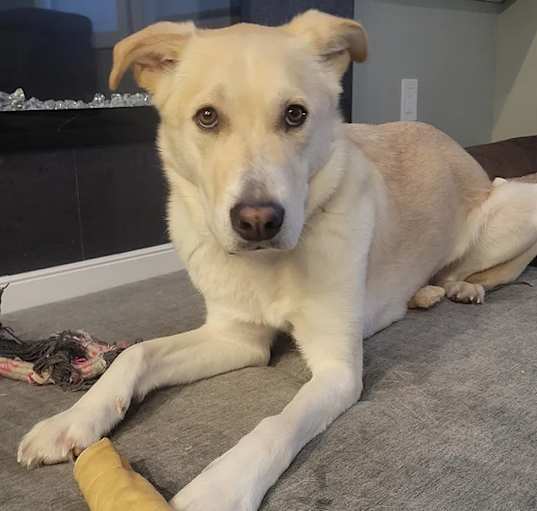 Photo of Tater