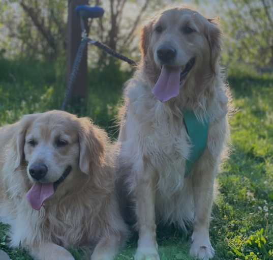Photo of Lucy and Koki