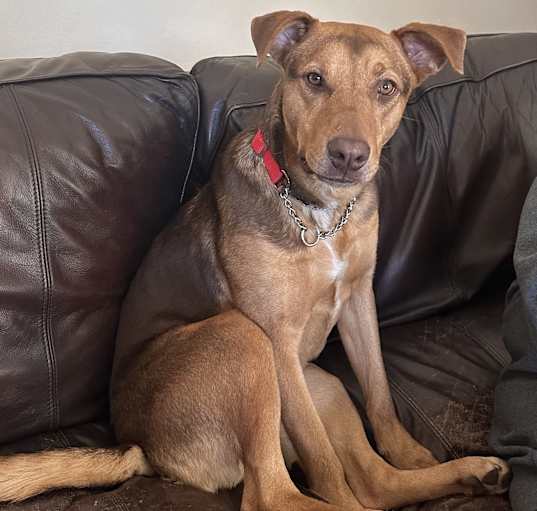 Photo of Lila