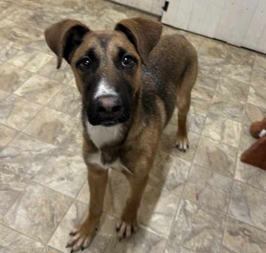 Photo of Holly