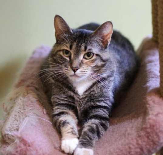 Photo of Macey