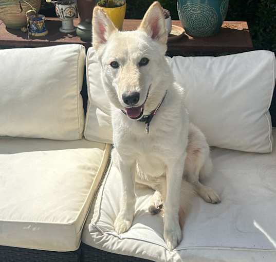 Photo of Dakota
