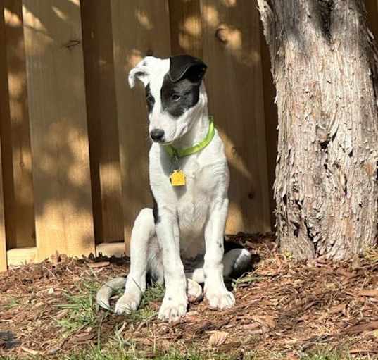 Photo of Baylie