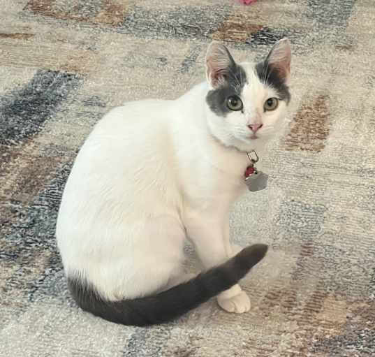 Photo of Babee