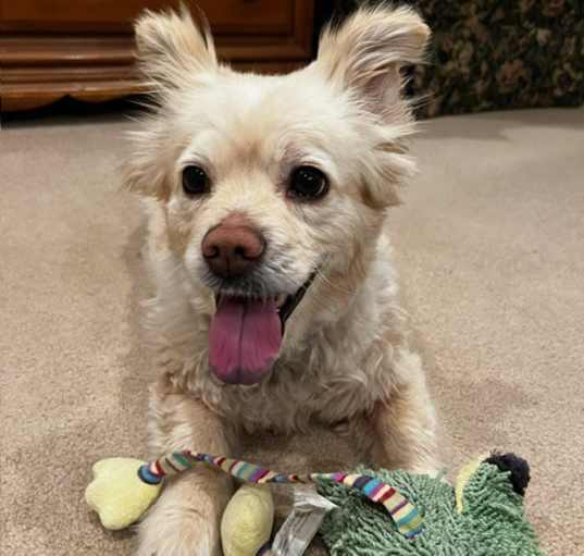 Photo of Frieda