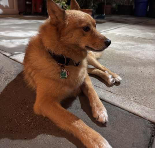 Photo of Brick