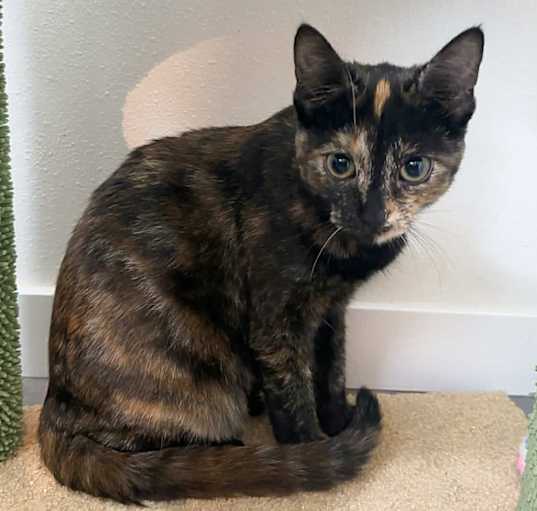Photo of Loretta