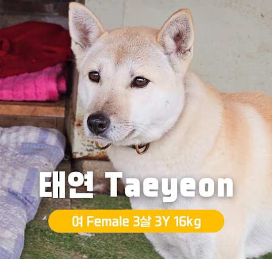 Photo of Taeyeon
