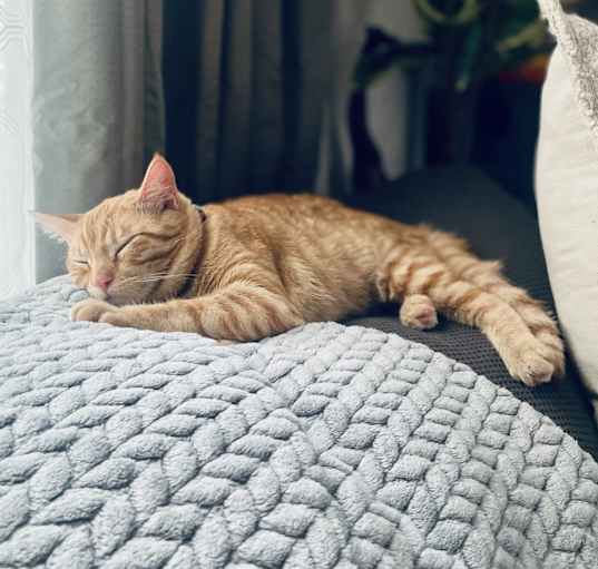 Photo of Rudy
