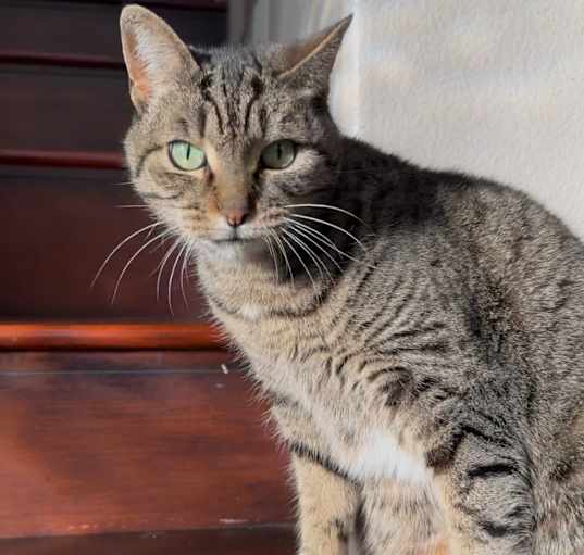 Photo of Kiki