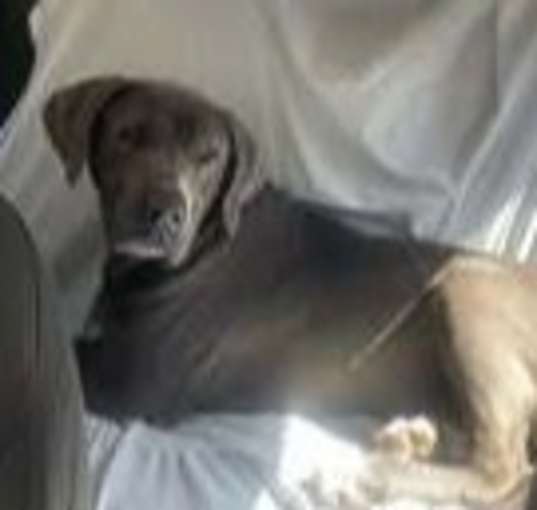 Photo of Skye