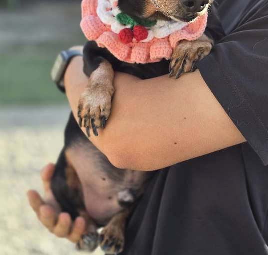 Photo of Romi