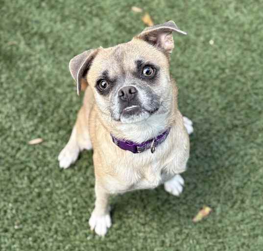 Photo of Frannie