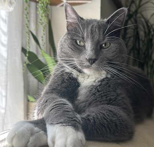 Photo of Simon