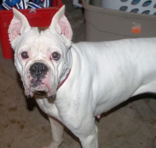 Photo of JETT