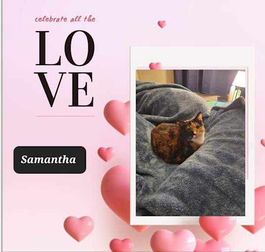Photo of Samantha & Toby