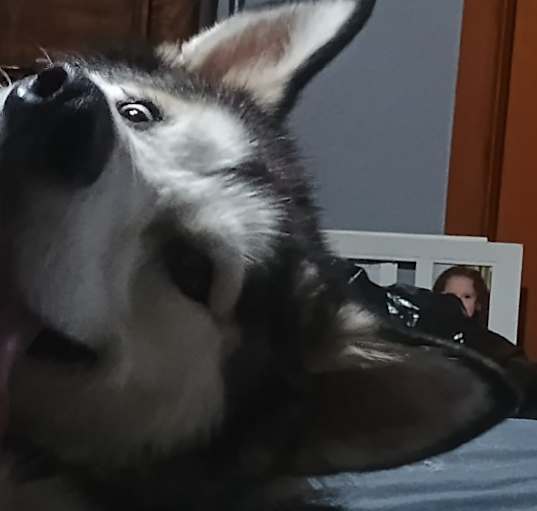 Photo of Suka