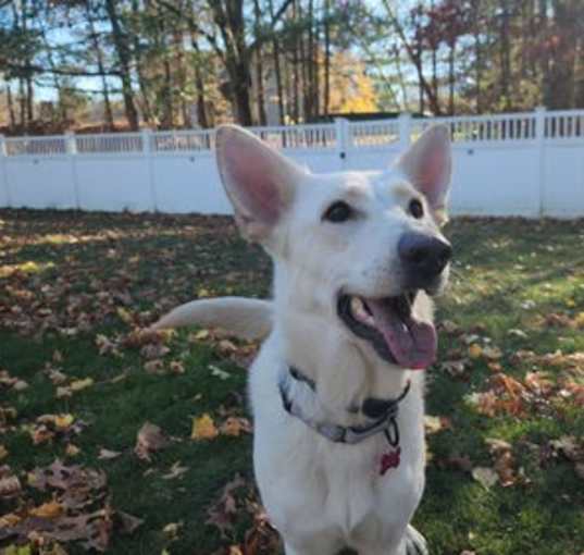 Photo of Coco