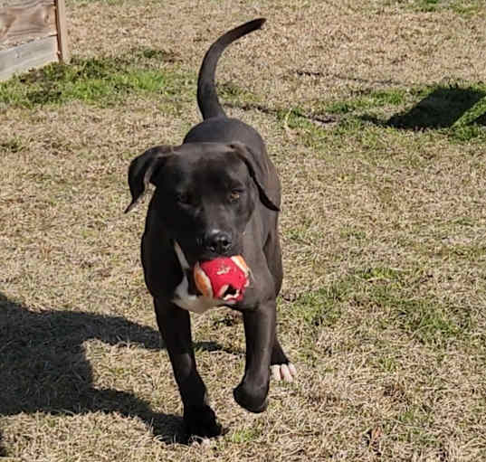 Photo of Chili