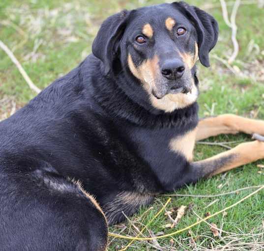Photo of Tank