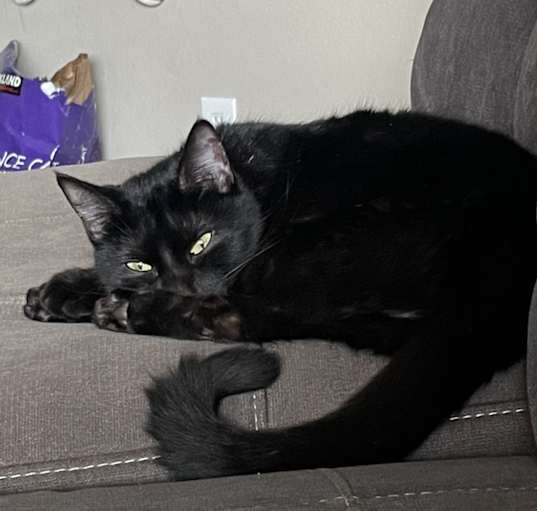 Photo of Clover