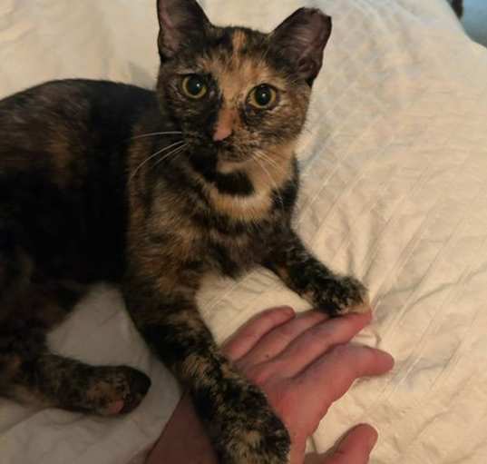 Photo of Ramona