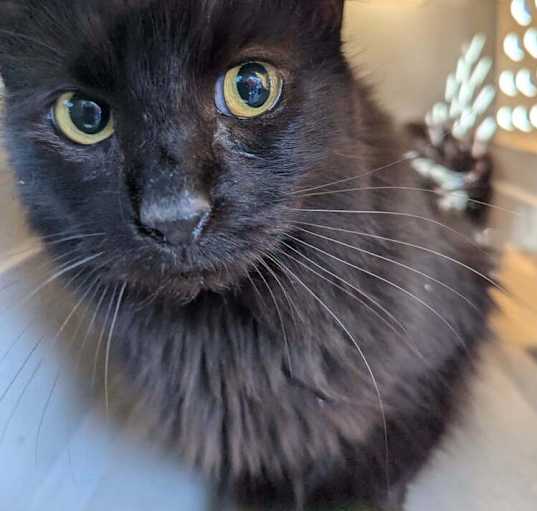 Photo of Joyce 0349