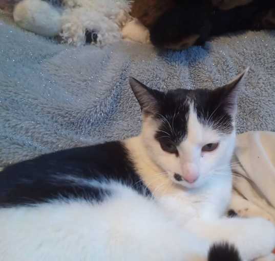Photo of Tina
