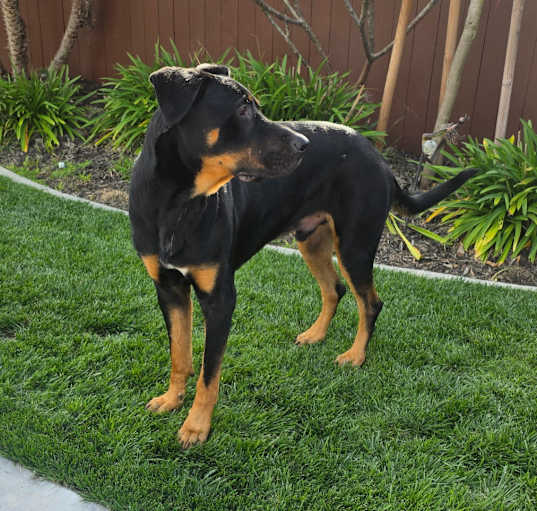 Photo of hades