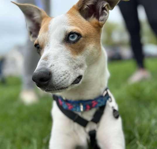 Photo of Dottie
