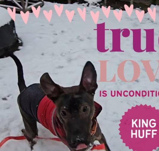 Photo of KING HUFF