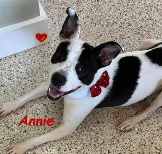 Photo of Annie