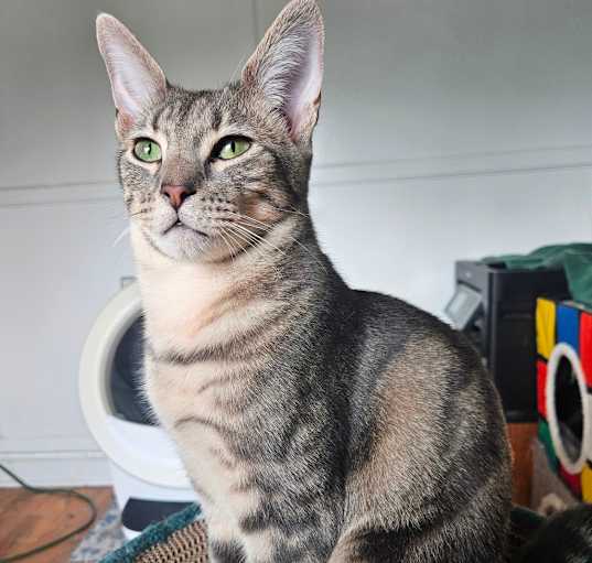 Photo of Armani