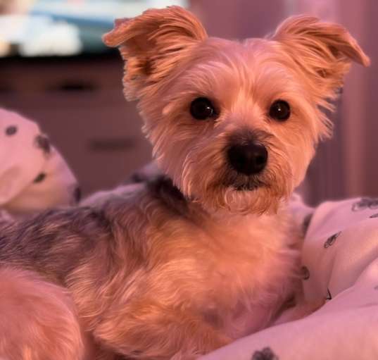 Photo of Cash