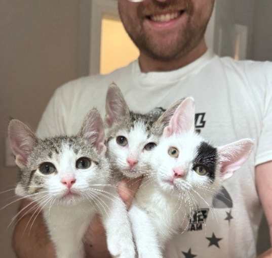 Photo of Eightsie
