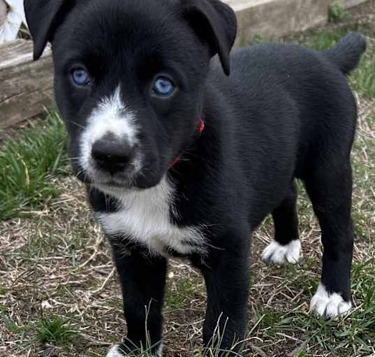 Photo of Baby Cupid