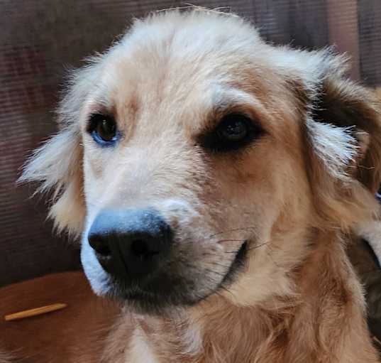 Photo of Mona