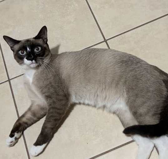 Photo of Mickey Blue Eyes