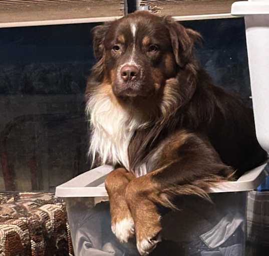 Photo of Nash