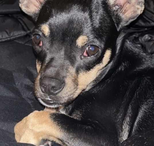 Photo of Lucky Lady