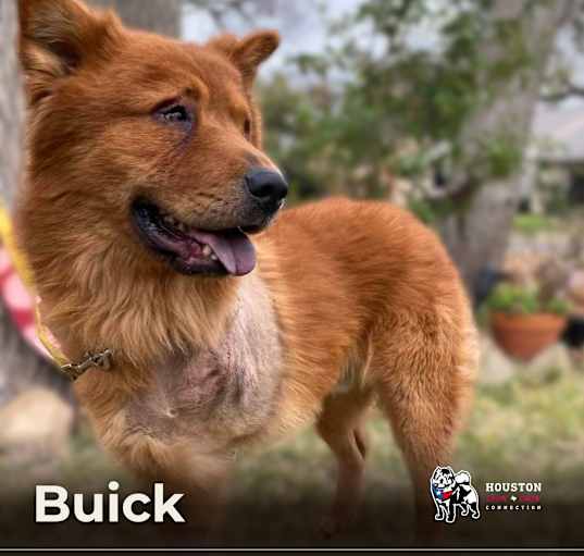 Photo of Buick