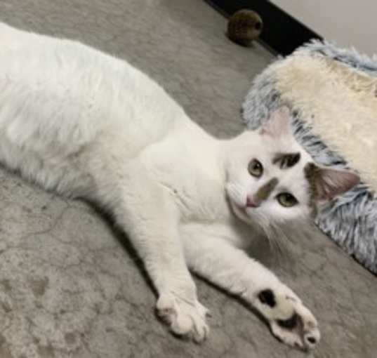 Photo of Esmeralda