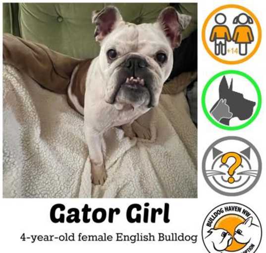 Photo of Gator Girl