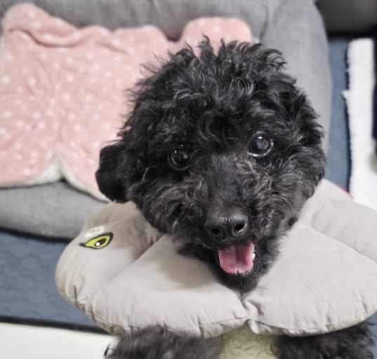 Photo of Boyeong
