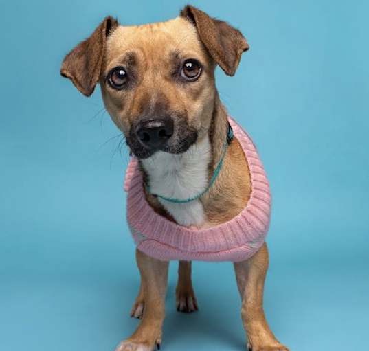 Photo of Ginny
