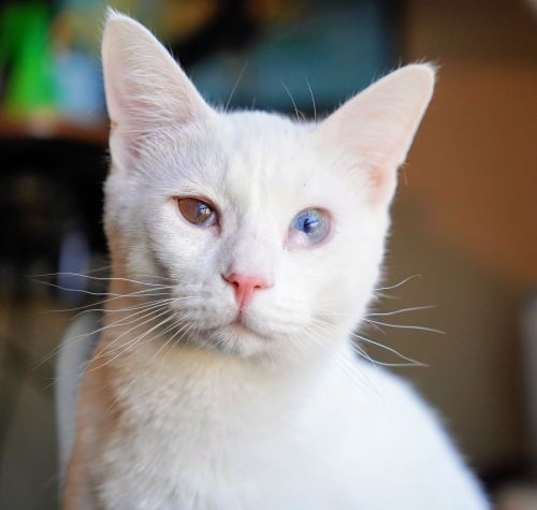 Photo of Arty